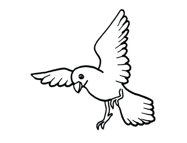 Flying Bird Coloring Pages at GetDrawings | Free download