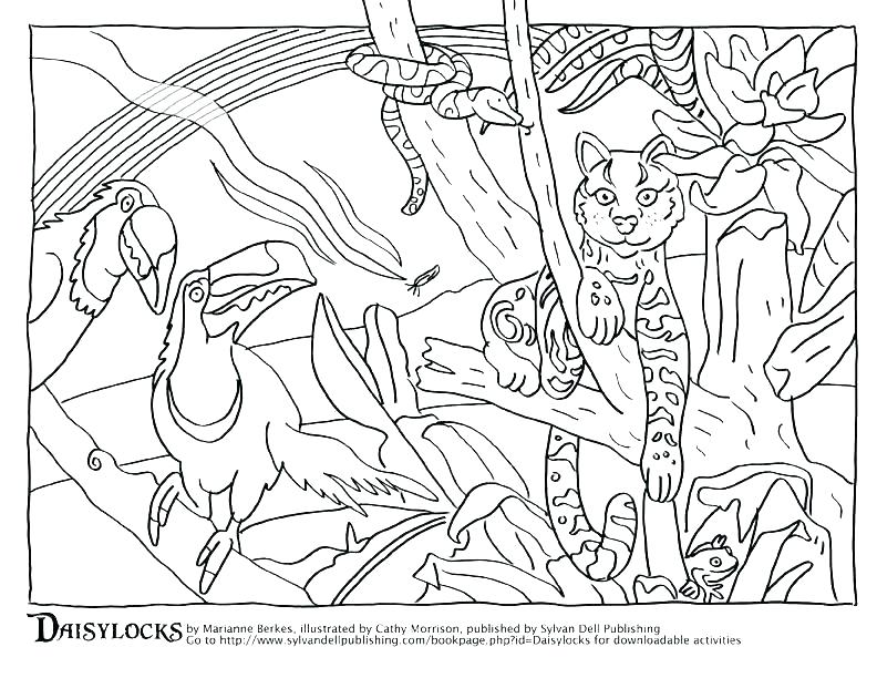 Forest Habitat Coloring Pages at GetDrawings | Free download