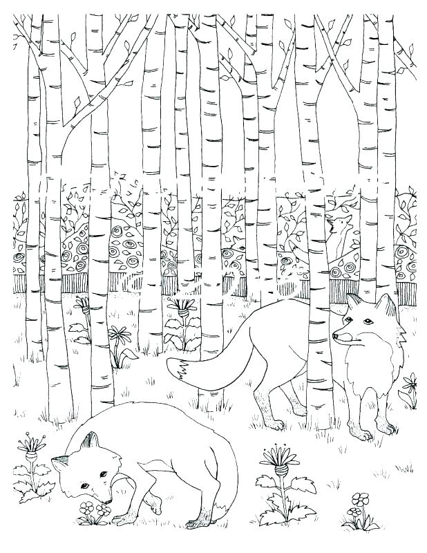 Forest Habitat Without Animals Coloring Pages - Animal Habitat Coloring