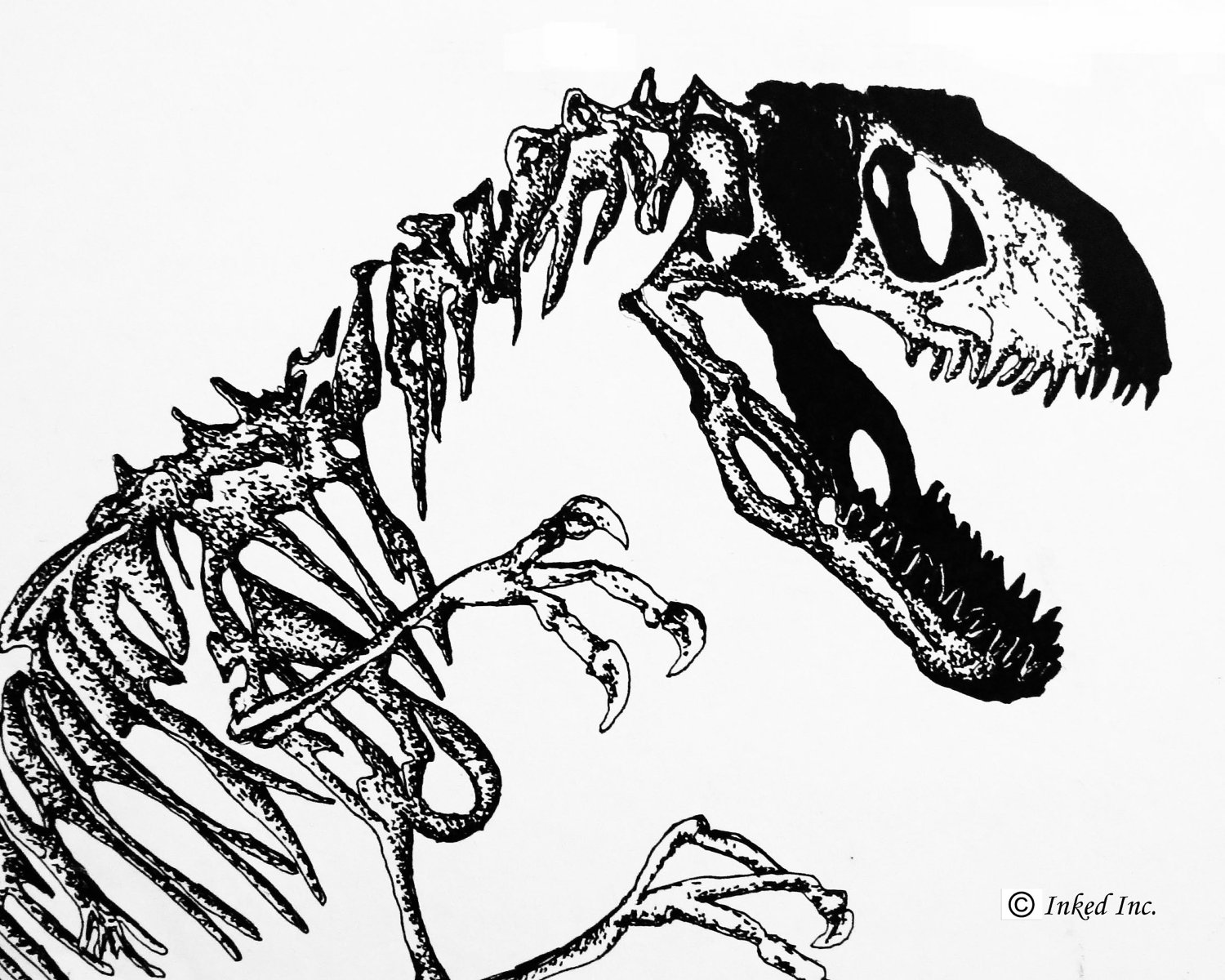 dinosaur fossil colouring pages