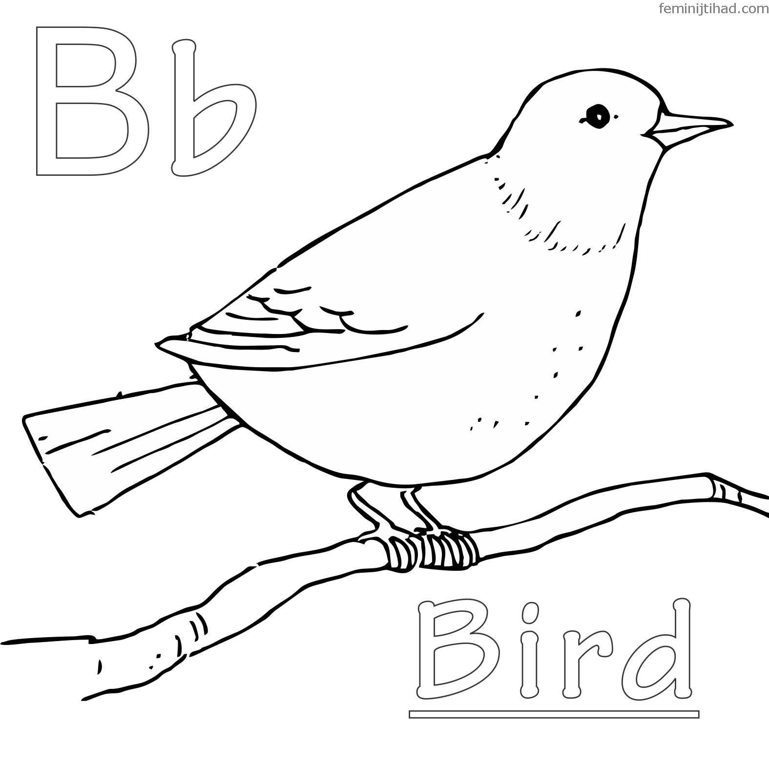 Bird Coloring Sheets Free Printable
