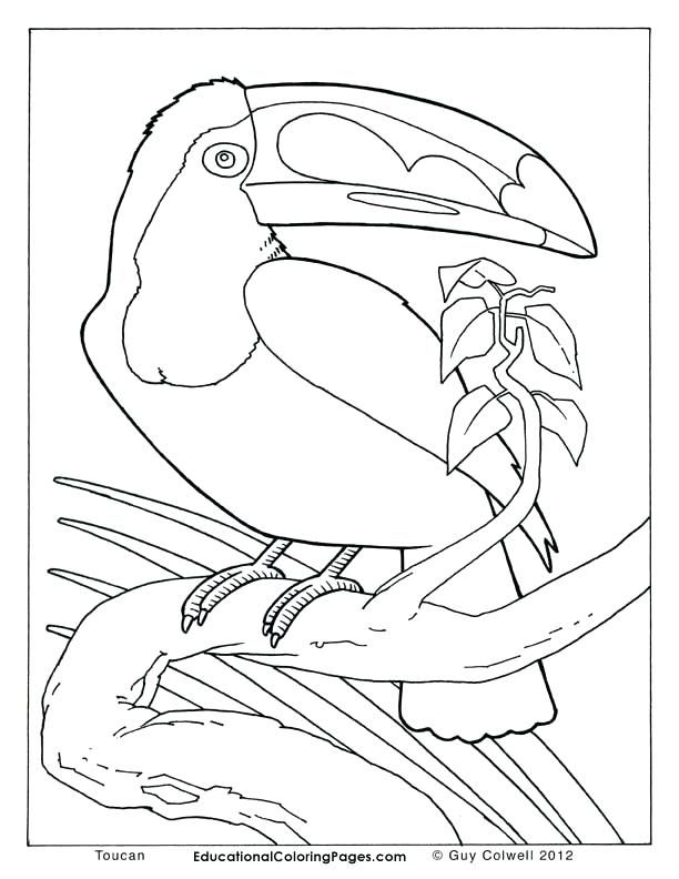 Free Mandala Coloring Pages Animals at GetDrawings | Free download