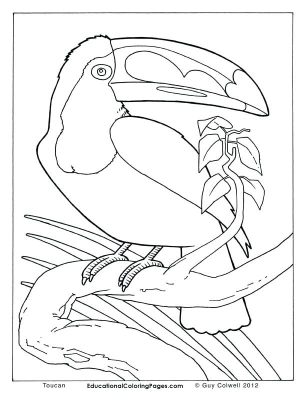 Free Mandala Coloring Pages Animals At GetDrawings Free Download