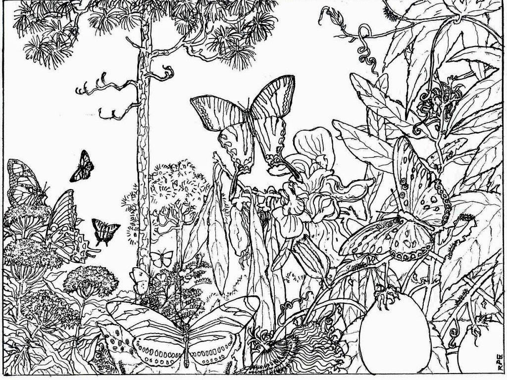 Free Coloring Pages Nature Scenes at GetDrawings | Free download