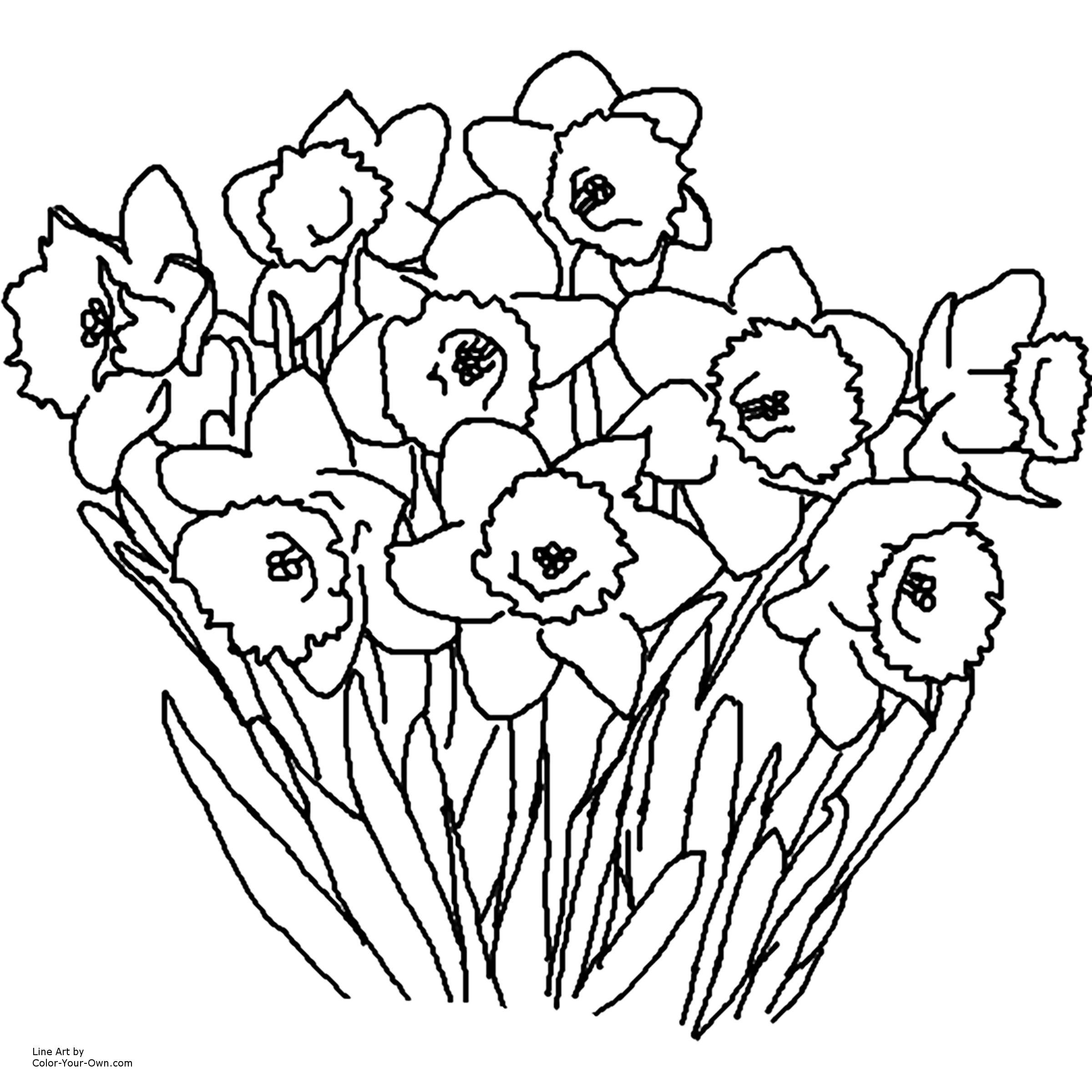 Free Flower Coloring Pages For Kids at GetDrawings | Free download