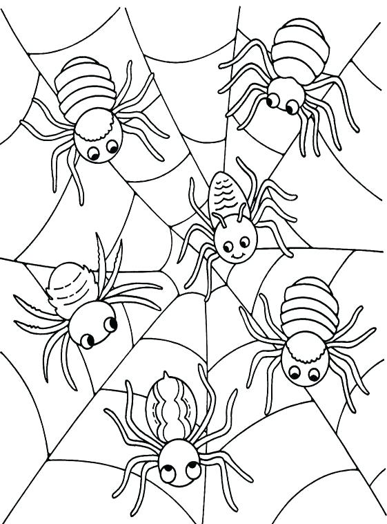 Featured image of post Cute Spider Coloring Pages