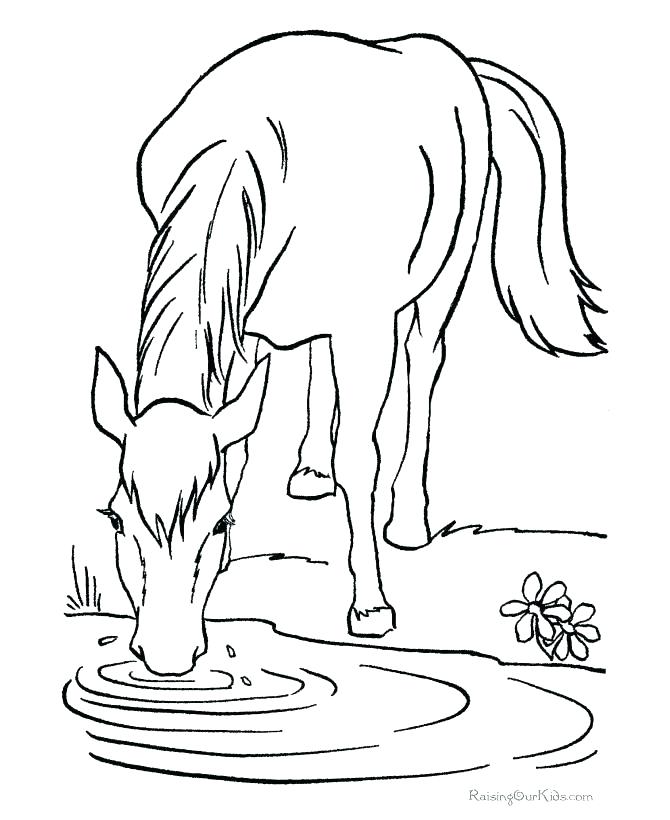Ideas For Star Stable Coloring Pages | AnyOneForAnyaTeam