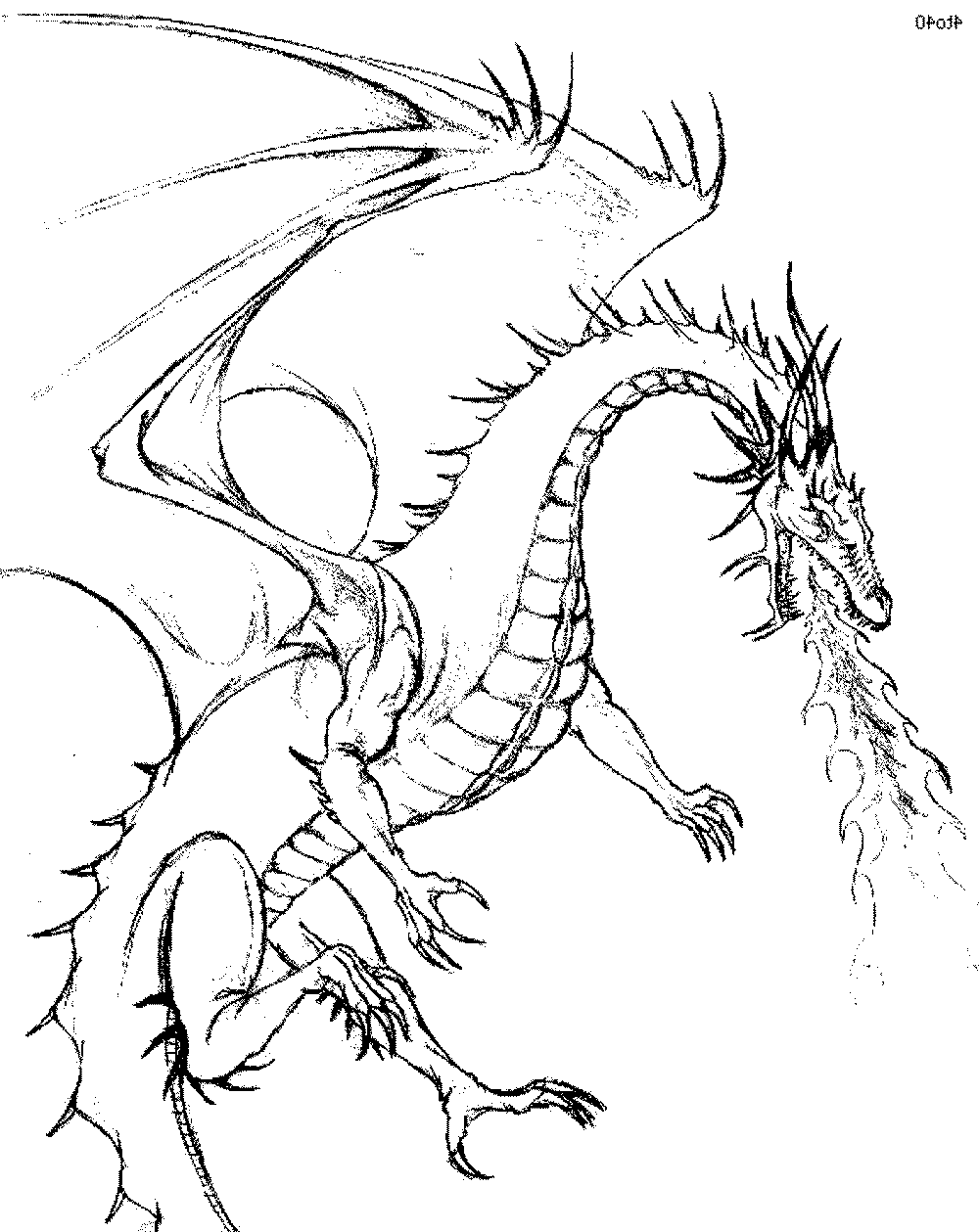 dragon-drawing-pages-at-getdrawings-free-download