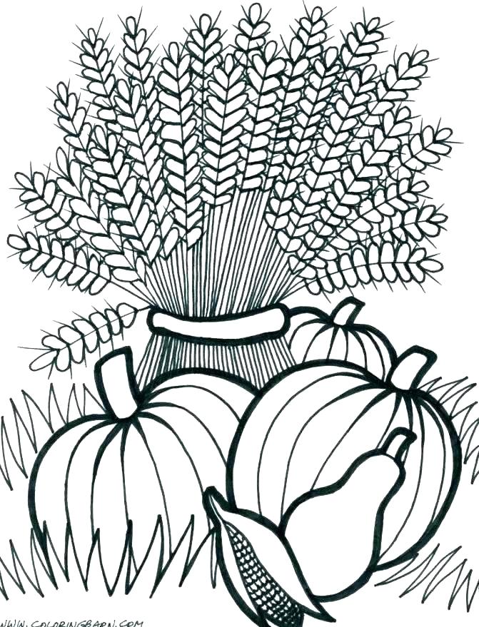 Free Printable Fall Harvest Coloring Pages at GetDrawings Free download