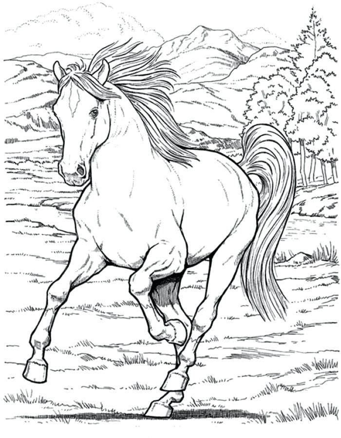 Free Printable Horse Coloring Pages At Getdrawings Free Download