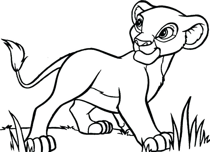 Free Printable Lion Coloring Pages At GetDrawings Free Download