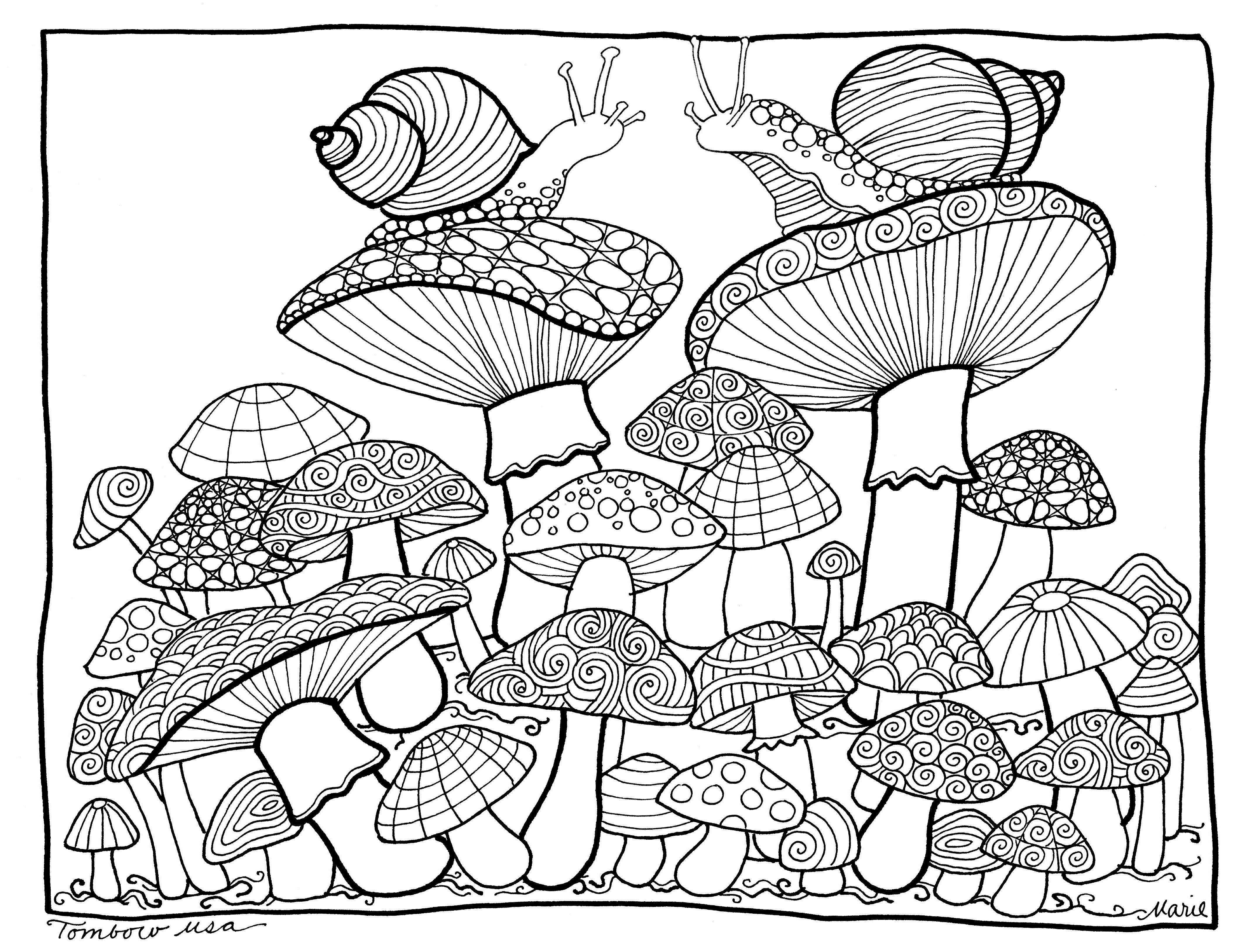 Free Printable Mushroom Coloring Pages at GetDrawings   Free download