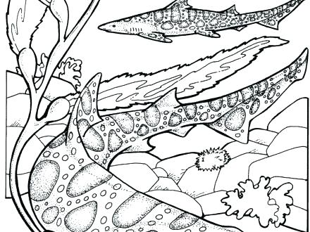 Free Printable Shark Coloring Pages At Getdrawings Free Download