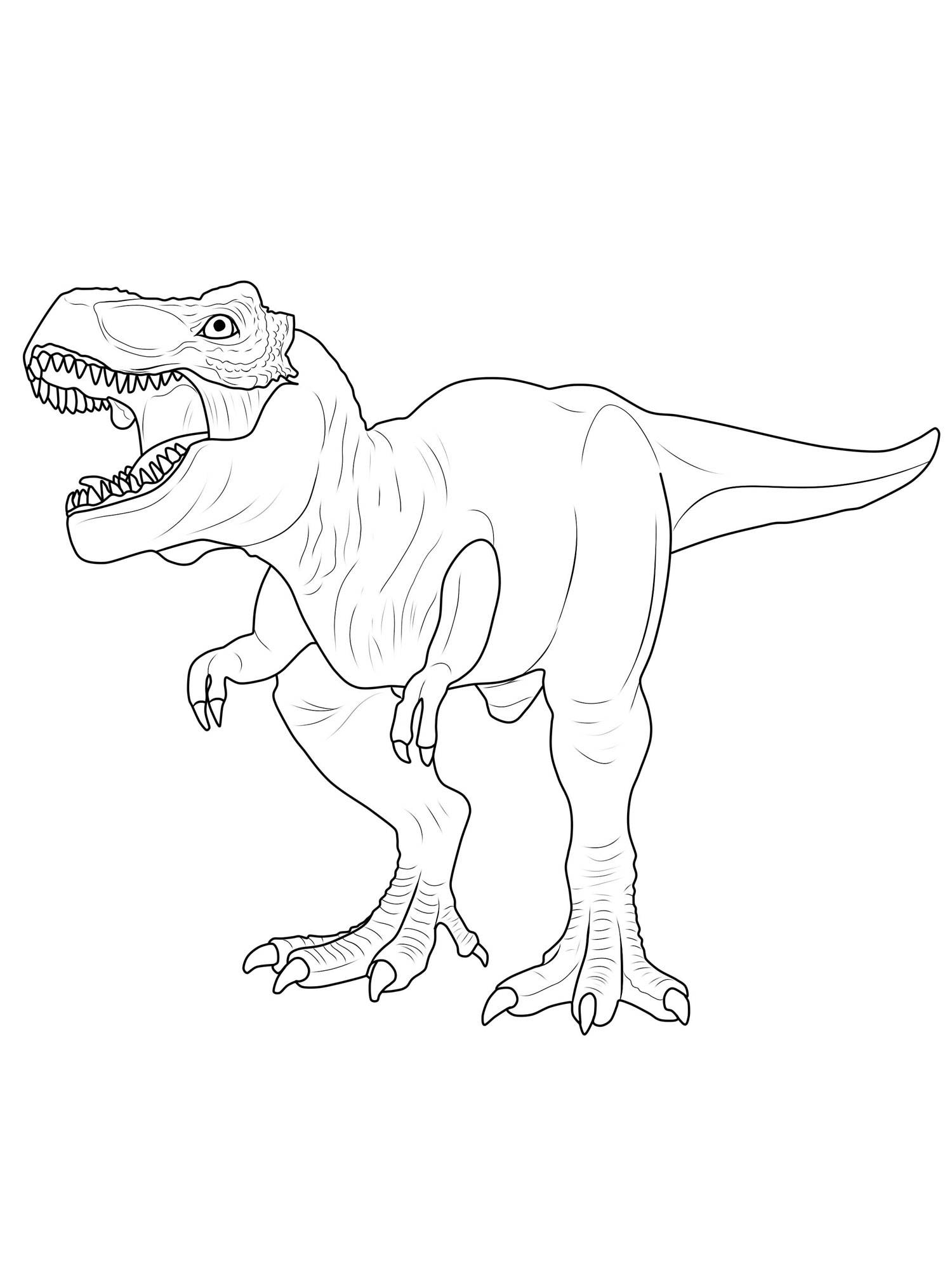 t-rex-skull-drawing-at-getdrawings-free-download