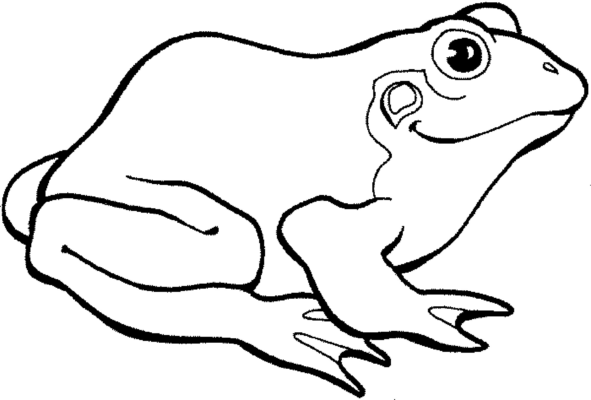 Frog Coloring Pages For Preschoolers at GetDrawings Free download