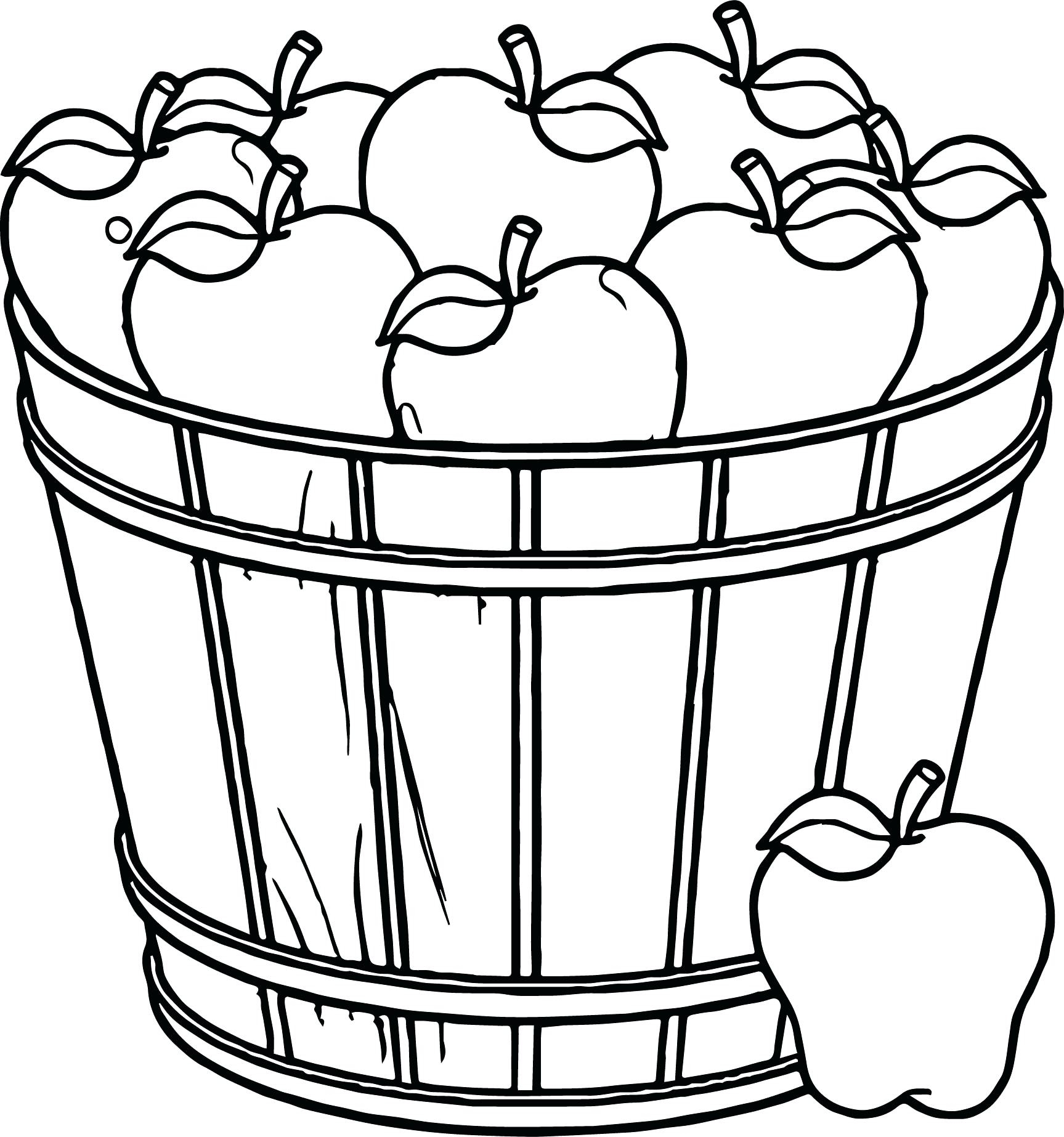 Papaya Fruit Drawing At GetDrawings Free Download