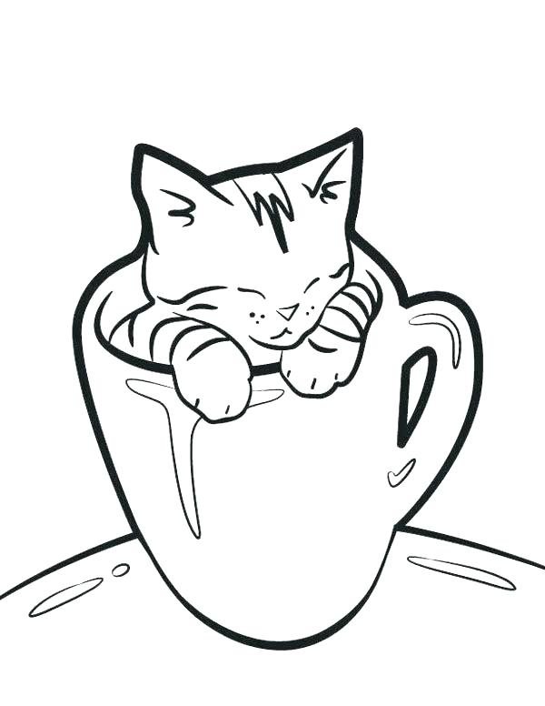 funny-cat-coloring-pages-at-getdrawings-free-download