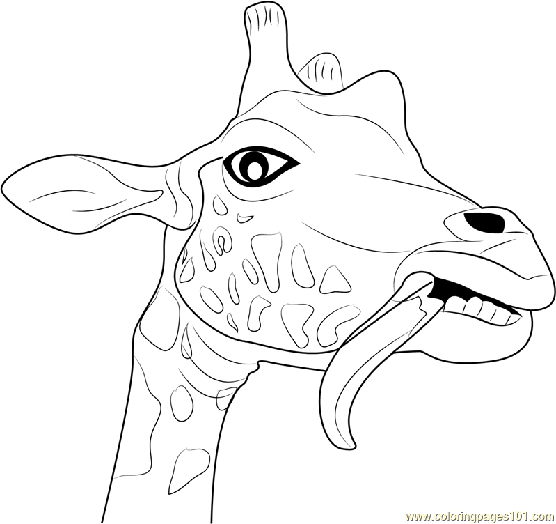 Funny Giraffe Coloring Pages at GetDrawings | Free download - photo#26