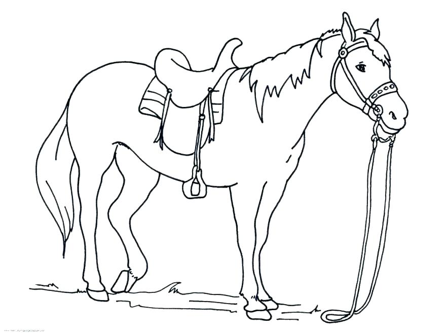 Galloping Horse Coloring Pages at GetDrawings | Free download