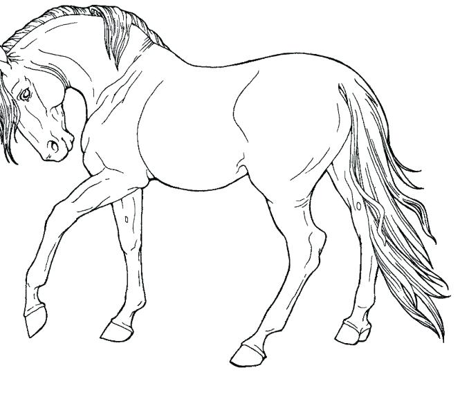 Galloping Horse Coloring Pages at GetDrawings | Free download