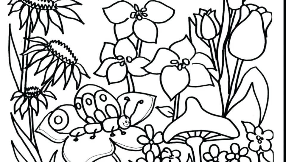 Gardening Tools Coloring Pages At Getdrawings Free Download