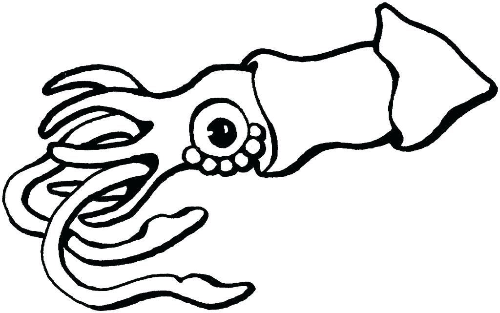 Giant Squid Coloring Page at GetDrawings | Free download