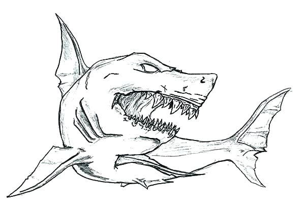 Goblin Shark Coloring Pages At Getdrawings Free Download