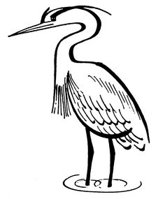 Great Blue Heron Coloring Page at GetDrawings | Free download