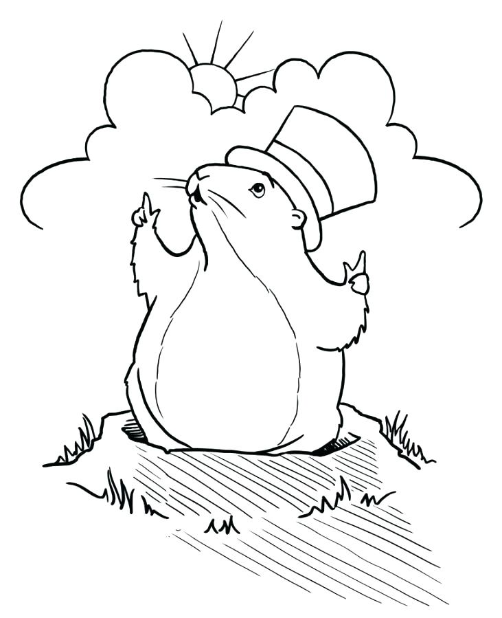 Groundhog Day Coloring Pages For Preschoolers at GetDrawings | Free