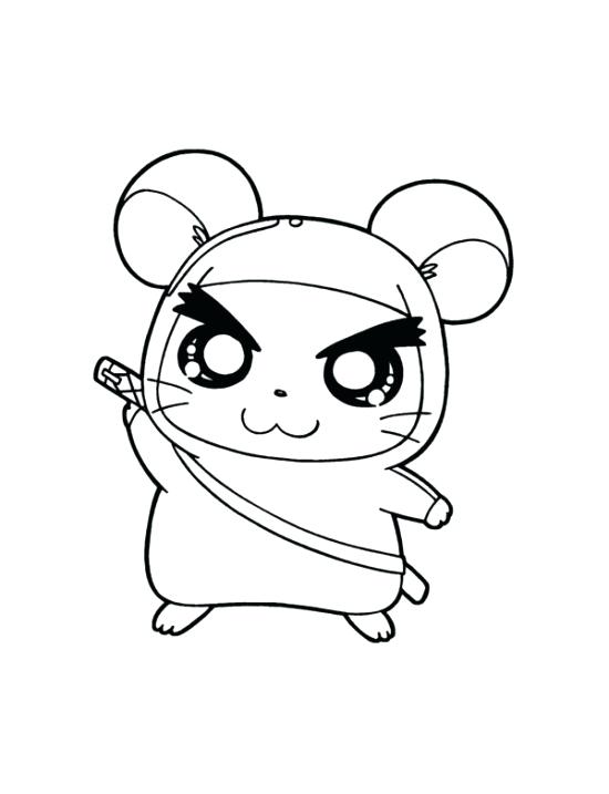 Hamster Coloring Pages at GetDrawings | Free download