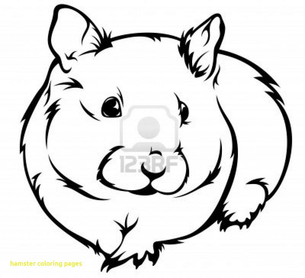 hamster-coloring-pages-printable-at-getdrawings-free-download