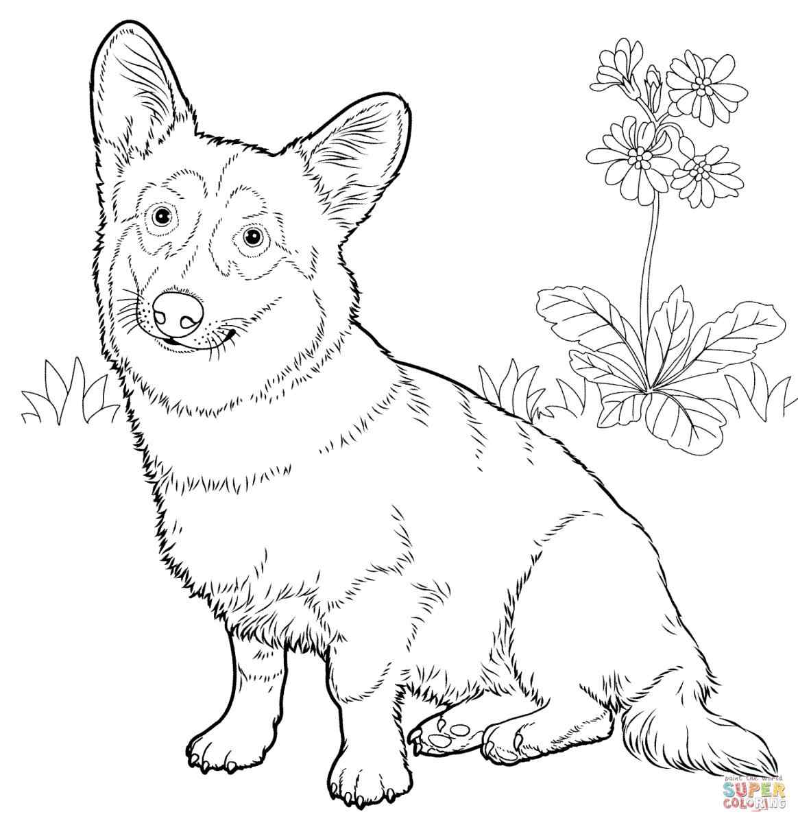 Hard Dog Coloring Pages at GetDrawings | Free download