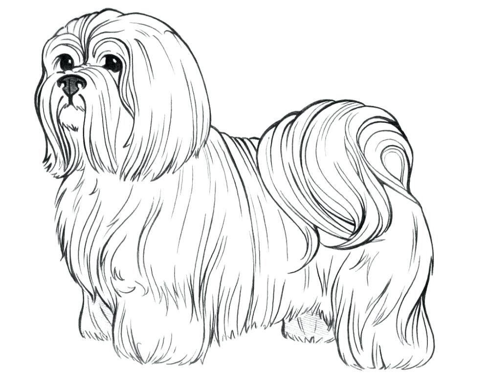 Hard Dog Coloring Pages at GetDrawings | Free download