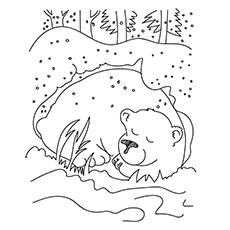 Bear hibernating coloring page