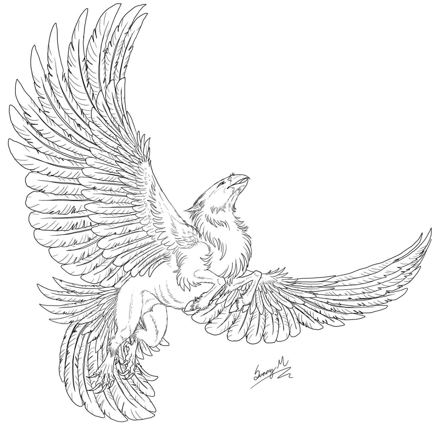 1517x1517 Griffin Gif Click See How Hippogriff Coloring Pages To Draw.
