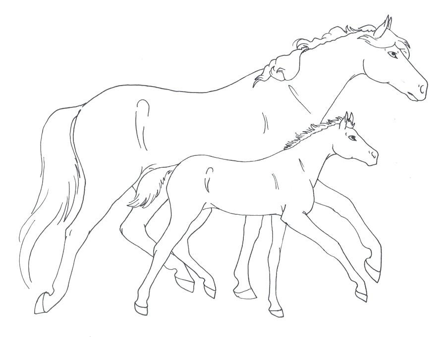 Horse And Foal Coloring Pages at GetDrawings | Free download