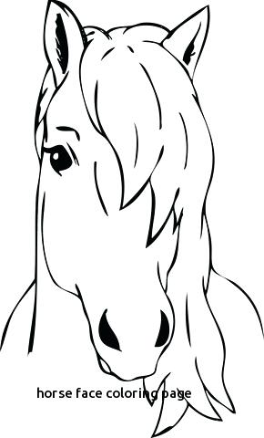 Horse Face Coloring Pages At Getdrawings Free Download