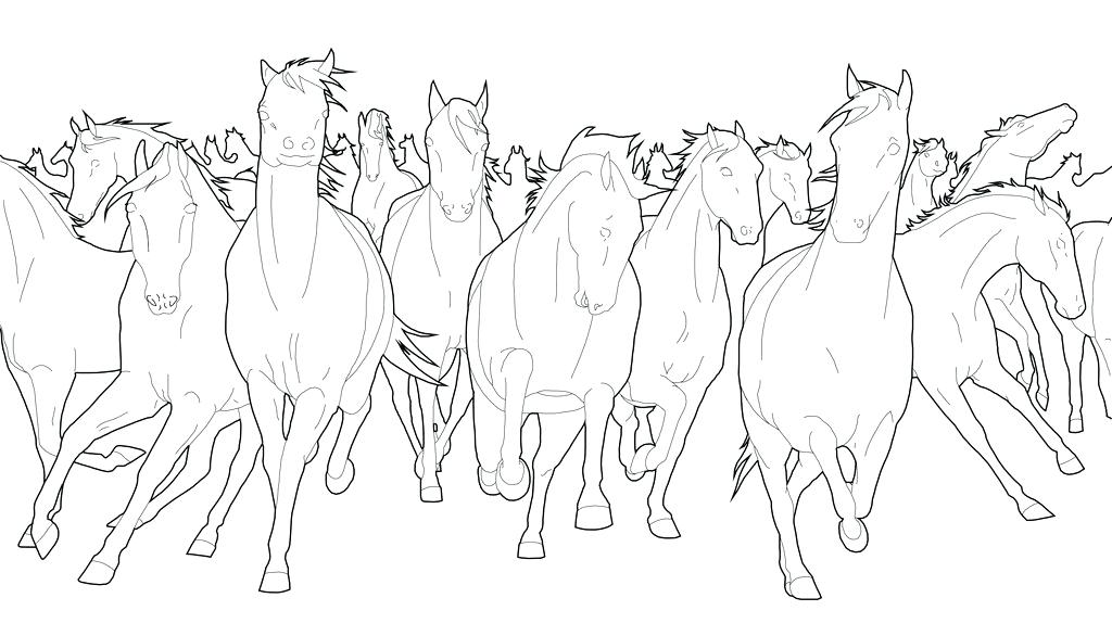 Horse Herd Coloring Pages at GetDrawings Free download