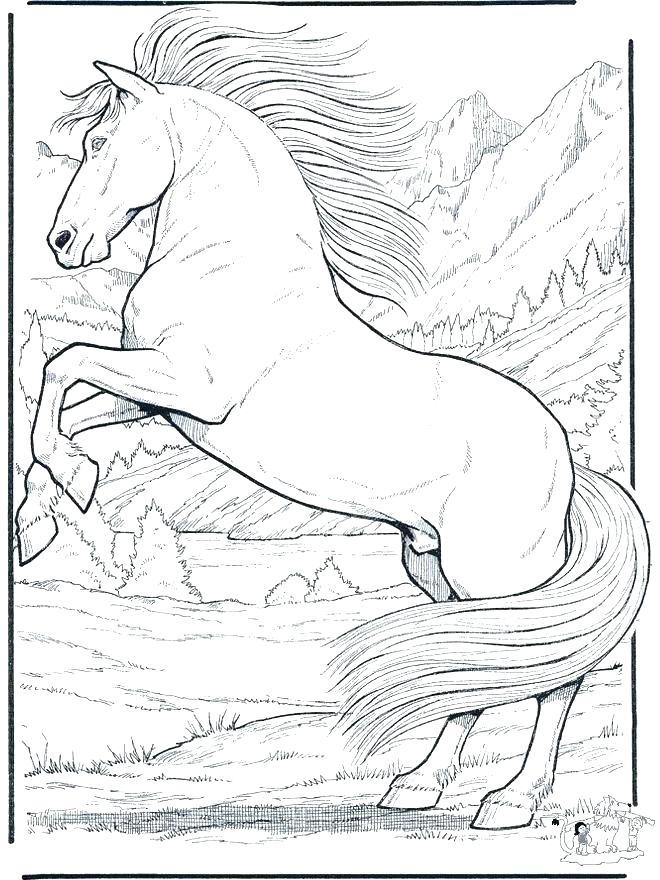Wild Horses Horse Herd Coloring Pages - pic-corn