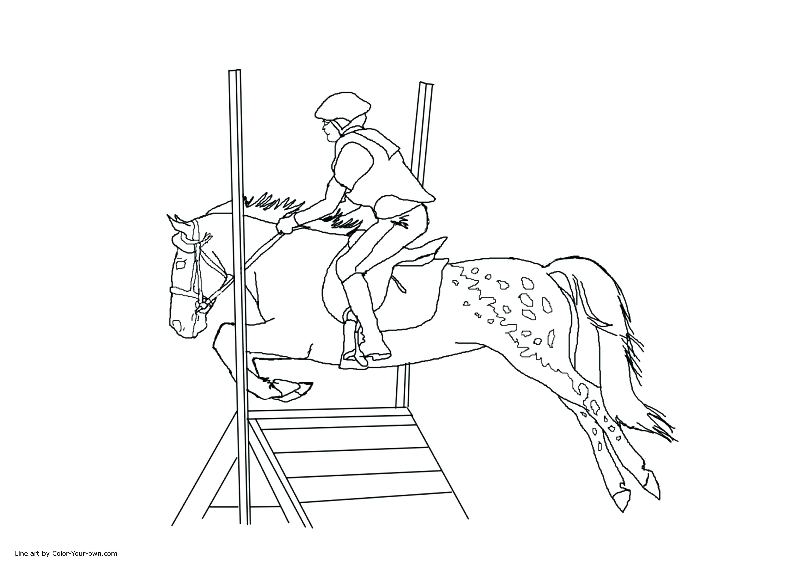 Horse Riding Coloring Pages at GetDrawings | Free download