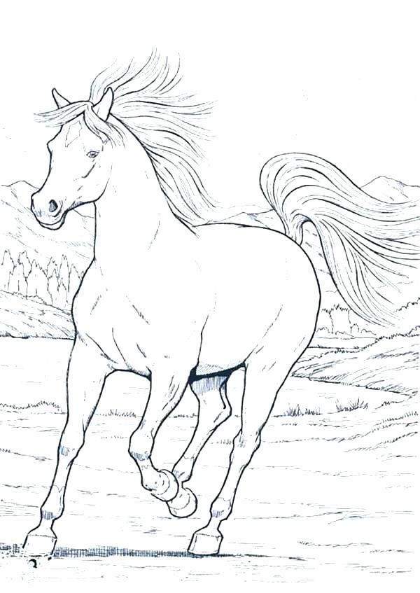 Horse Running Coloring Pages At Getdrawings Free Download