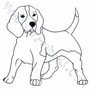 Hound Dog Coloring Pages At Getdrawings Free Download