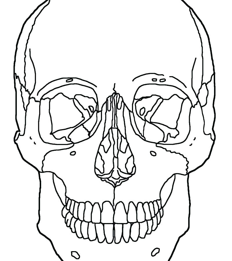 Human Anatomy Coloring Pages Printable at GetDrawings | Free download