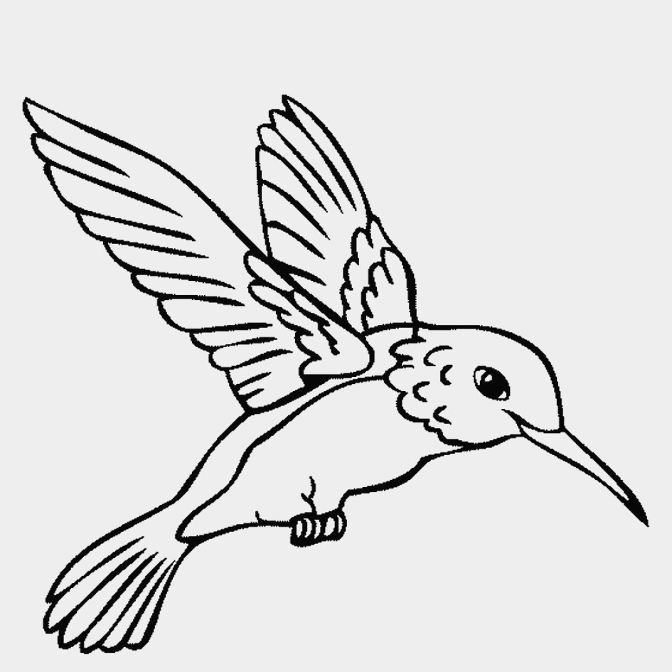 Hummingbird Coloring Pages For Adults at GetDrawings | Free download