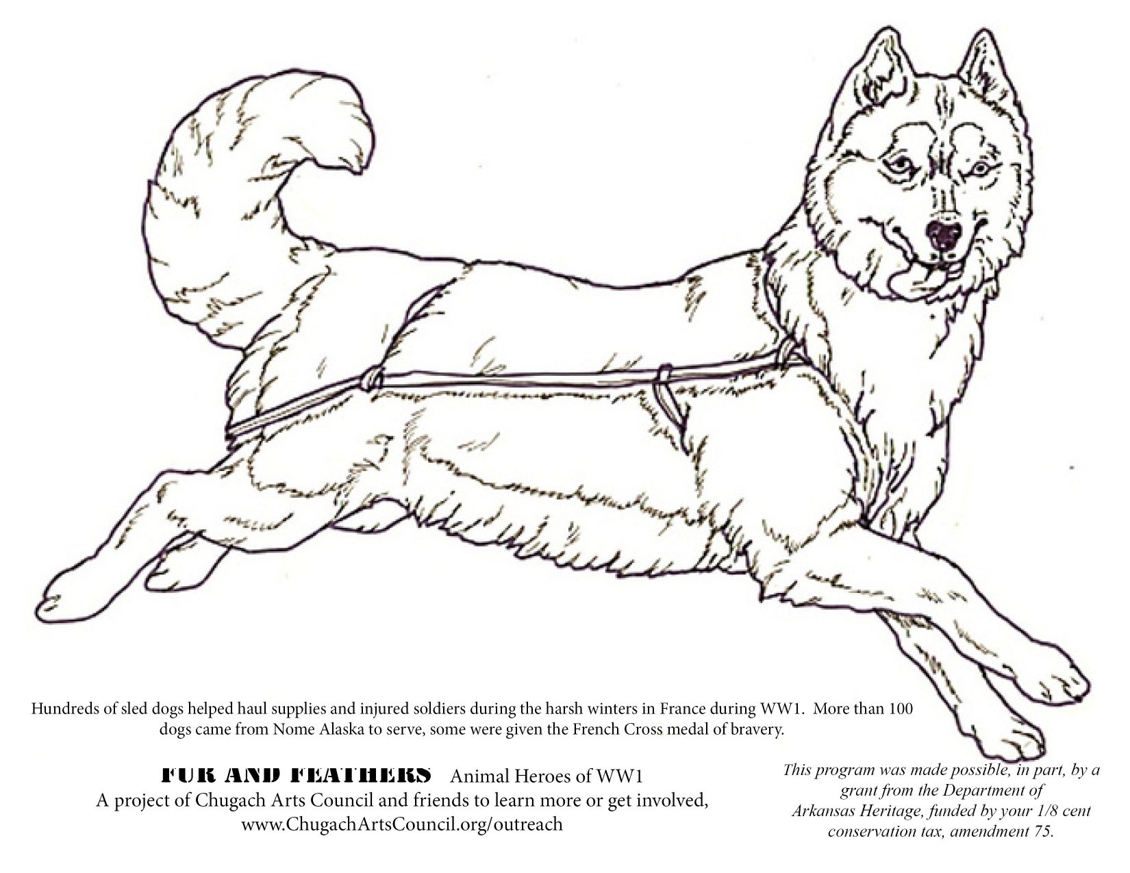 Husky Coloring Pages at GetDrawings | Free download