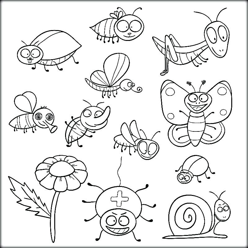 Insect Coloring Pages At GetDrawings Free Download