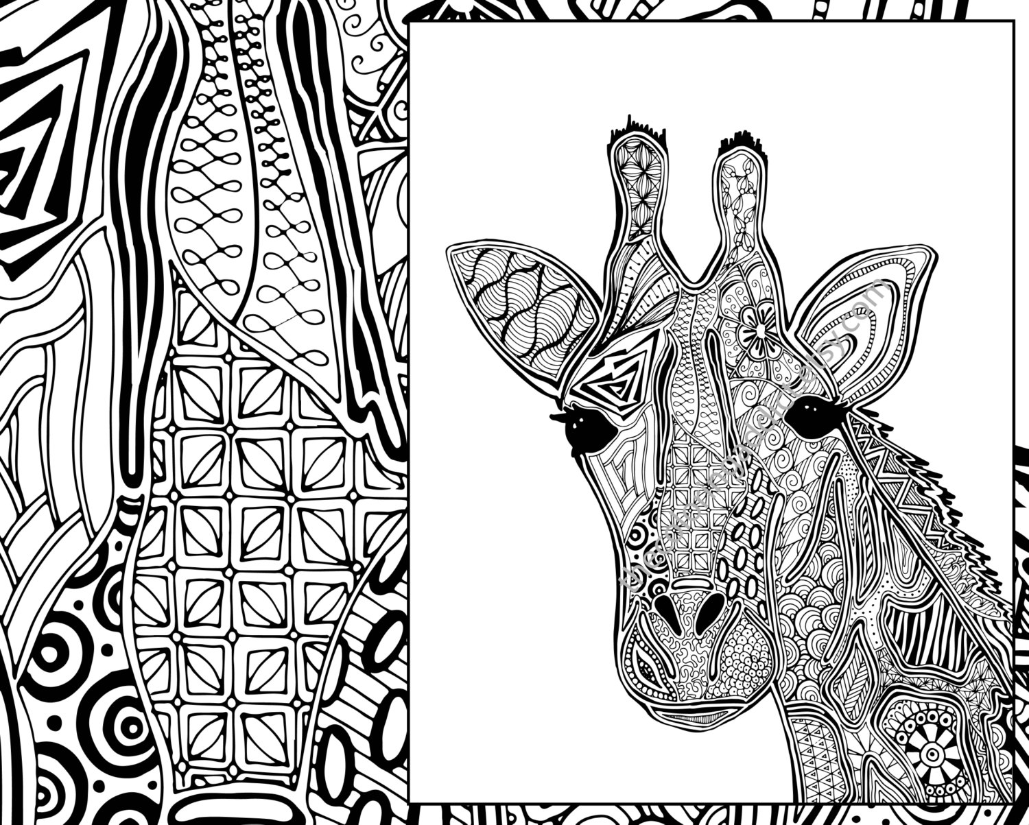 10 Intricate Animal Coloring Pages to Unleash Your Inner Artist