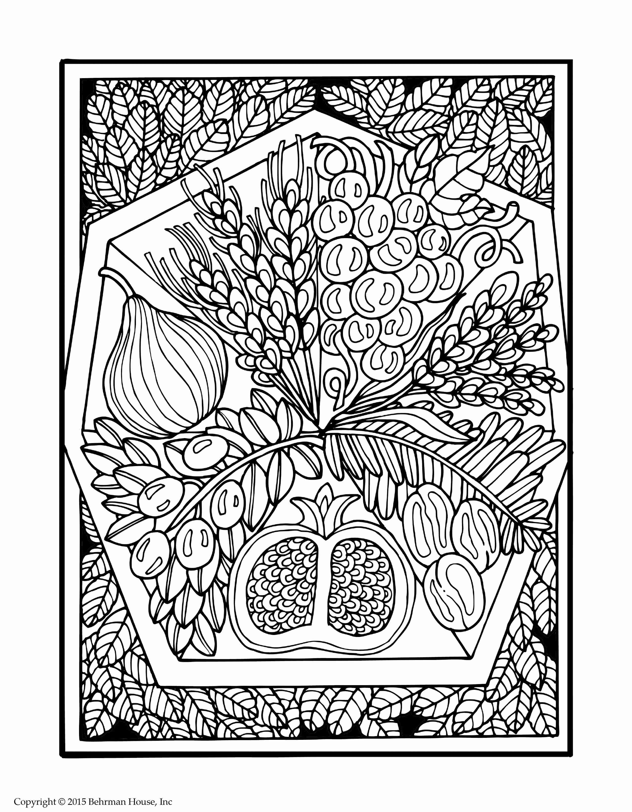 Israel Coloring Pages at GetDrawings Free download