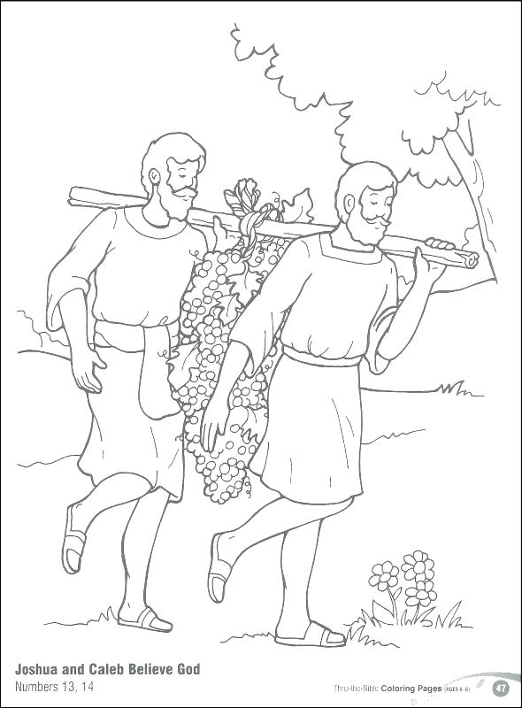 The Best Free Named Coloring Page Images Download From 5 Free Coloring