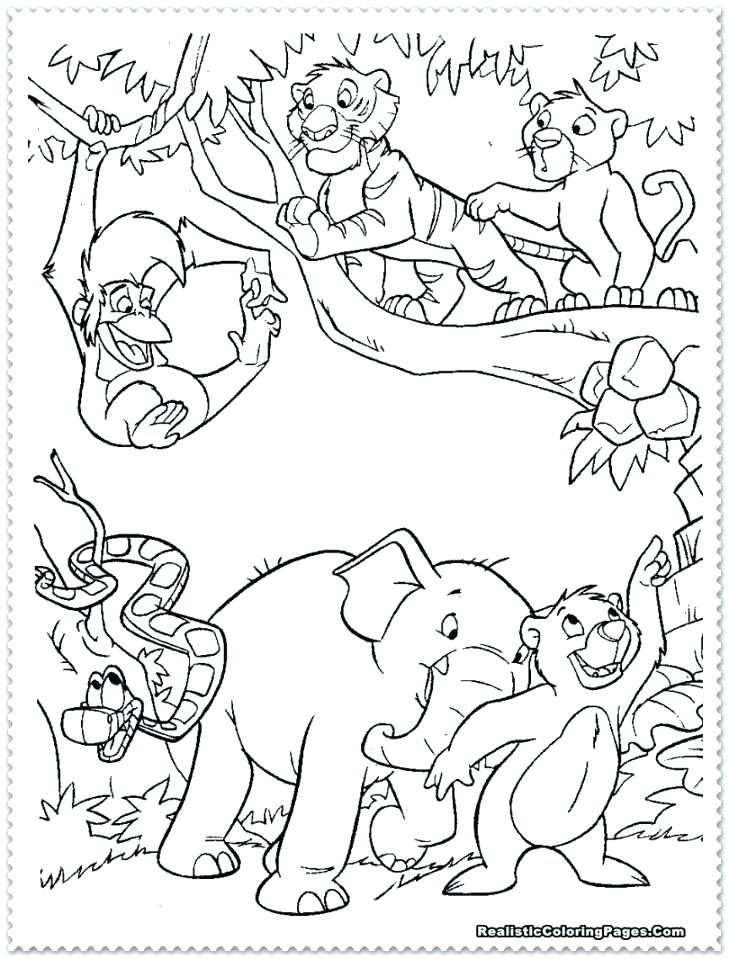 10 Jungle Printable Coloring Pages for Unbridled Creativity and Relaxation